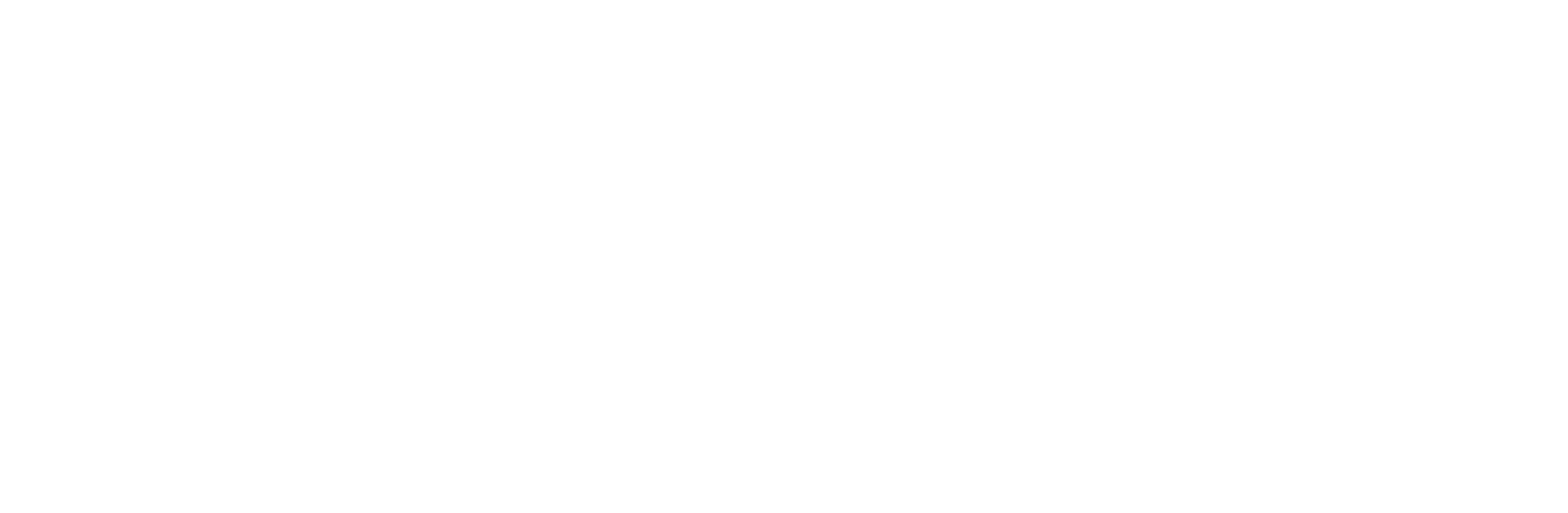 Shinko Machine